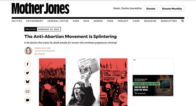 screenshot of MotherJones