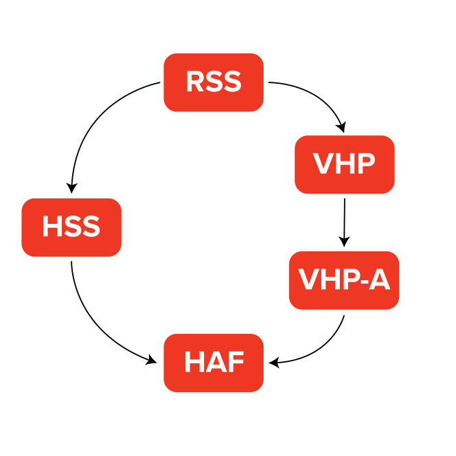 A cycle showing the connections of RSS to VHP and HSS, and then VHP-A and these orgs connections to HAF